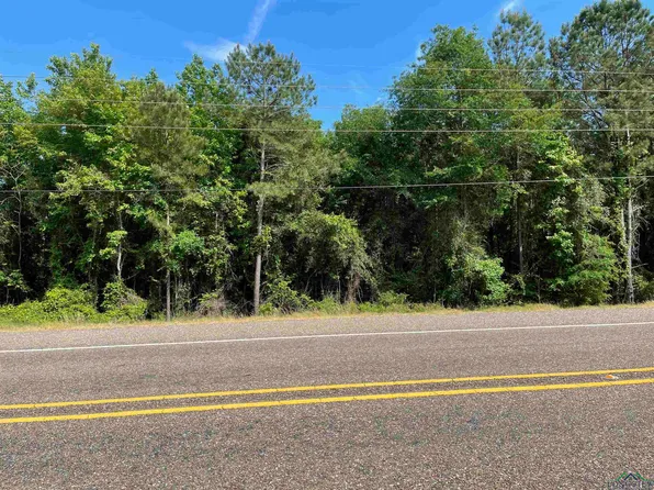 Lindsey Ln, Atlanta, TX 75551