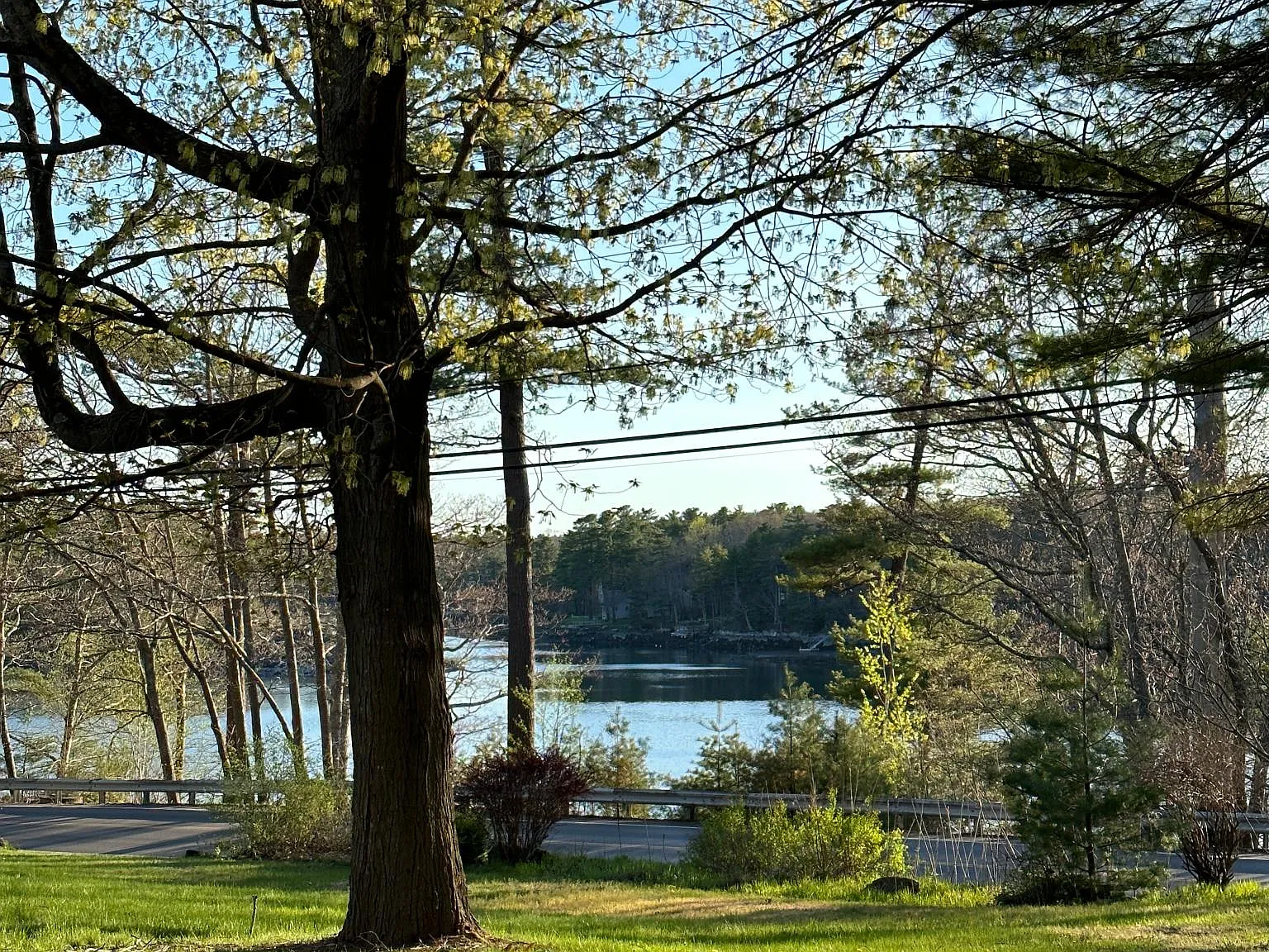 5 bed, 4380 sqft, $4,850 — Photo 4