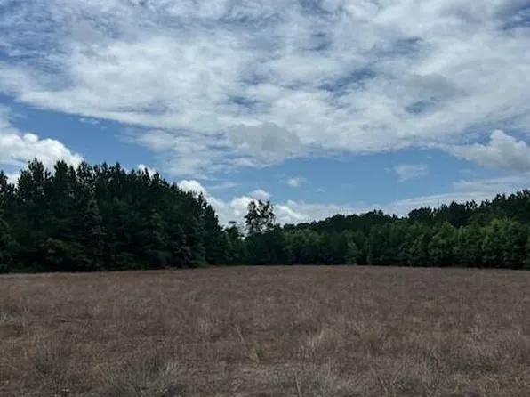 LOT Five Reeves Farm Rd #B, Saint George, SC 29477