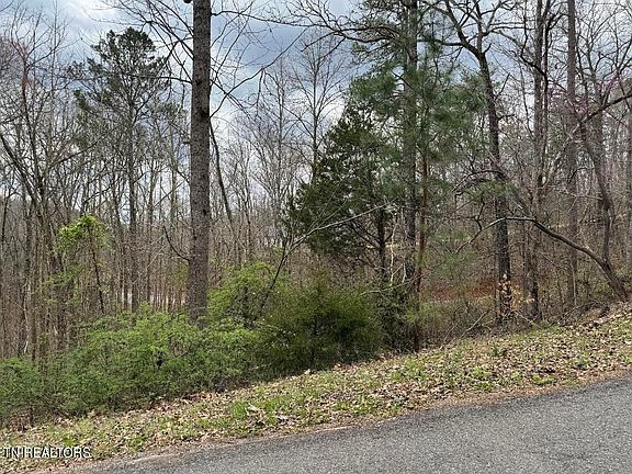 5th image of Mount Vista Dr