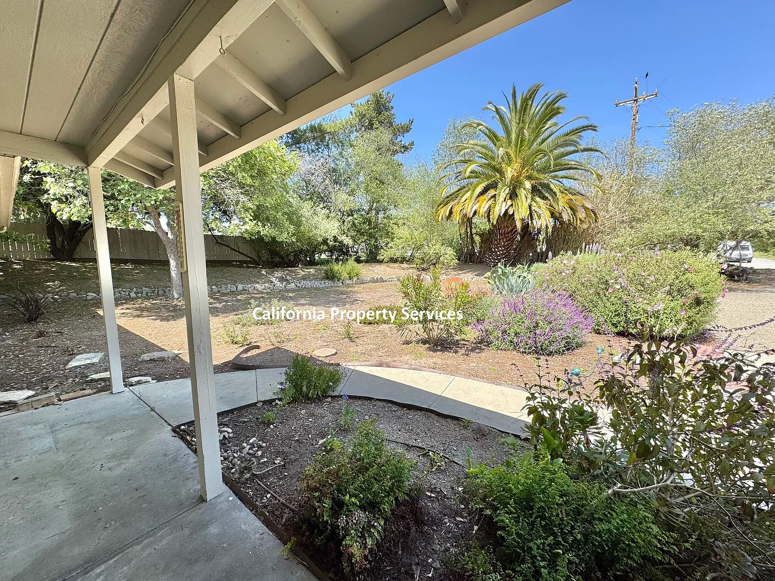 3 bed, 1260 sqft, $3,300 — Photo 4
