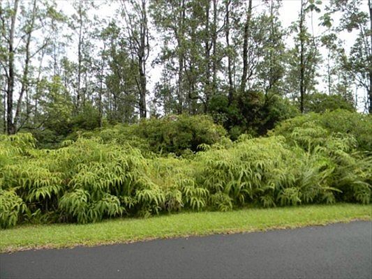 3rd image of Lilikoi Dr Lot 33