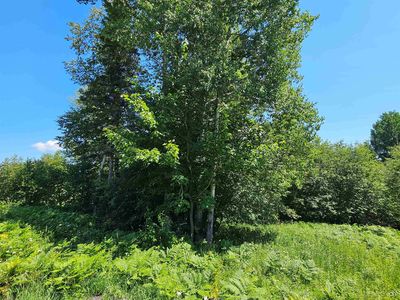 PARCEL M7 Applewood Dr, Houghton MI - Owner Finance Home