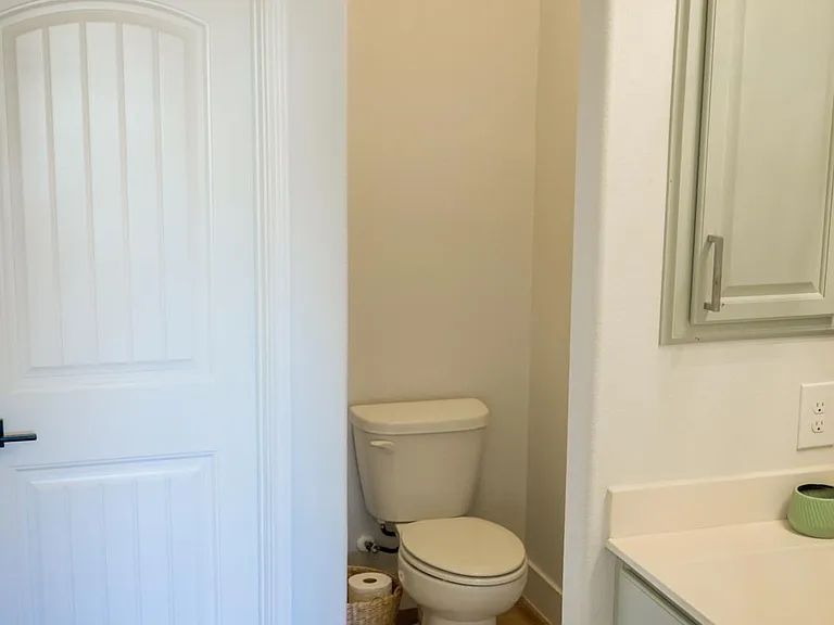 Primary bathroom suite includes a walk-in closet, enclosed toilet area, and walk-in shower.