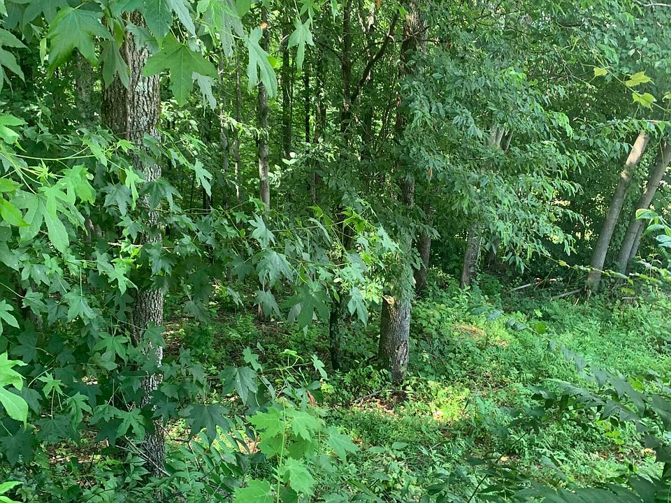 2nd image of Bobcat Trl