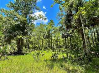 15 SW 719th St, Steinhatchee, FL 32359