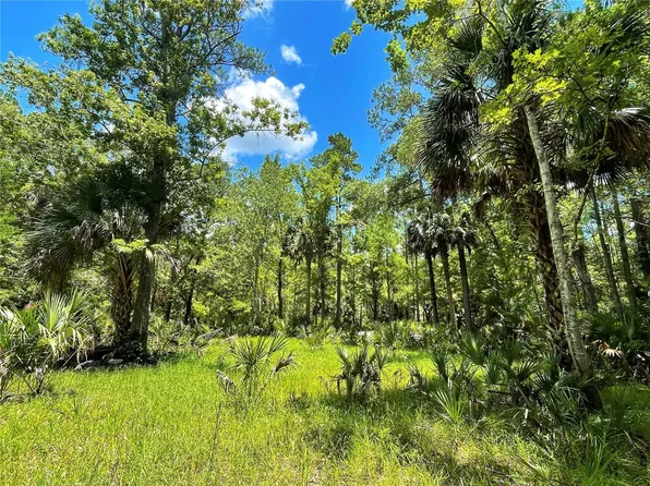 15 SW 719th St, Steinhatchee, FL 32359
