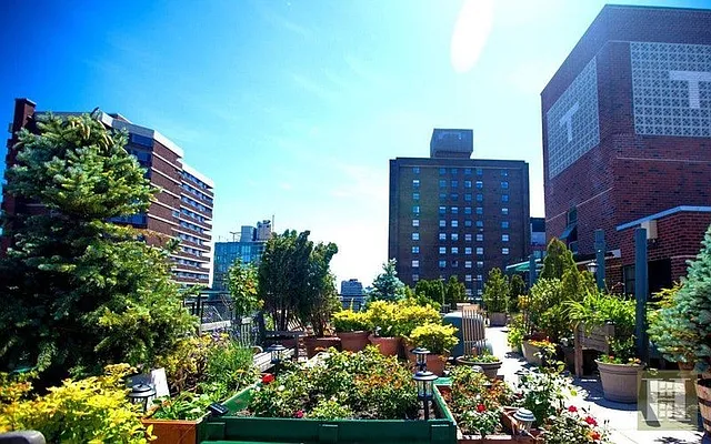 Sold by Halstead Real Estate | media 18