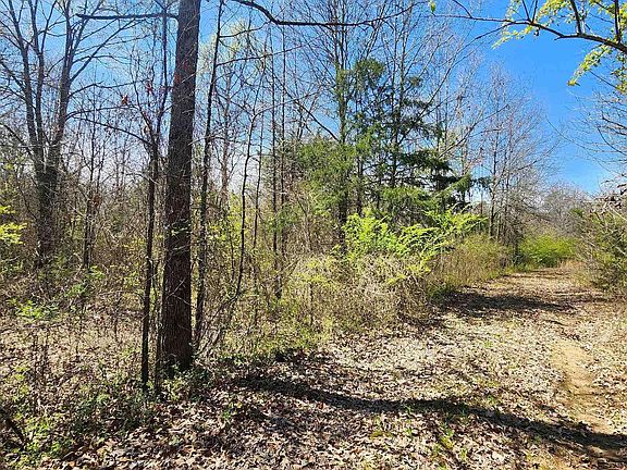 2nd image of LOT 5 Parker Dr
