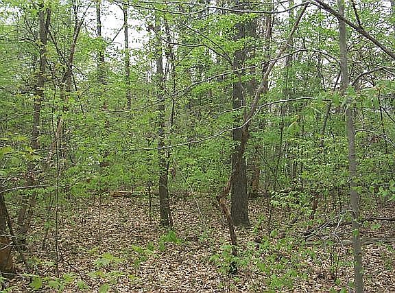 4th image of Lake Hunt Dr