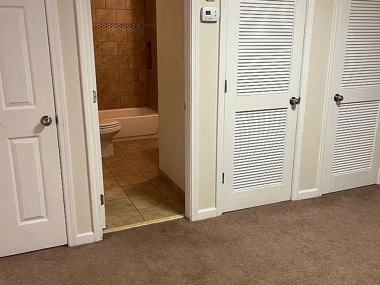 LOWER LEVEL BATH RM