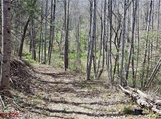 00 Hemlock Ln, Leicester, NC 28748