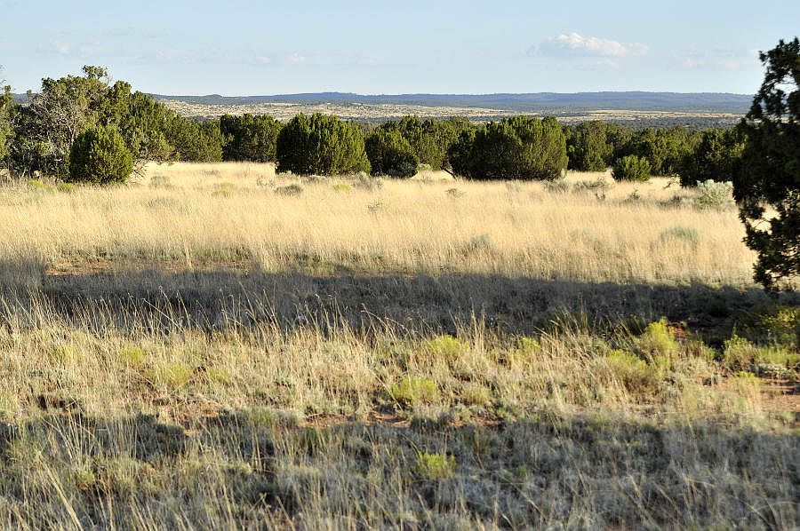 1st image of 3735 Bum Heel Ranch Rd