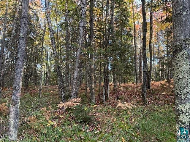 1st image of XXX Brule River Rd