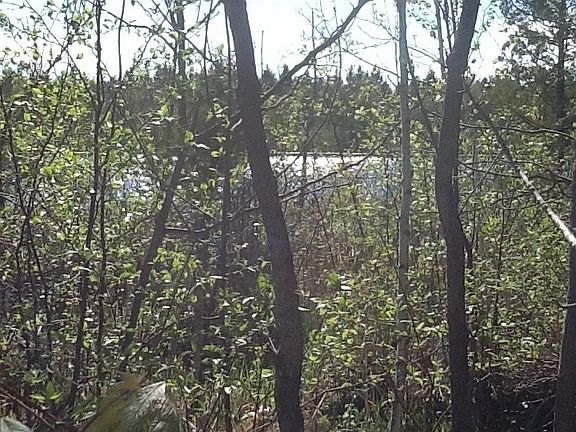 Weyer lake through the woods