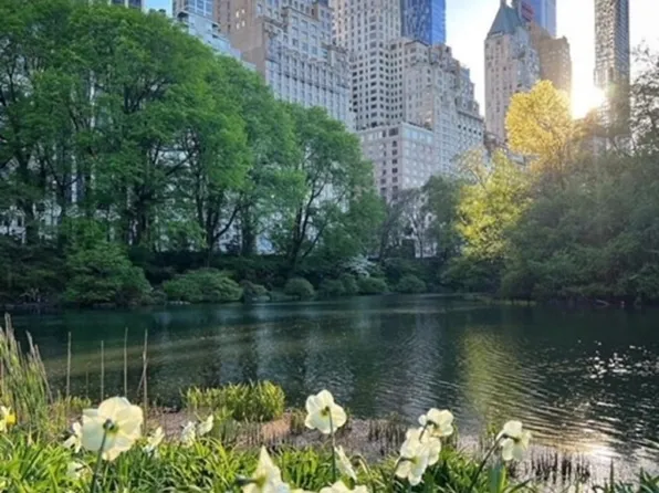 117 West 58th Street image 9 of 10