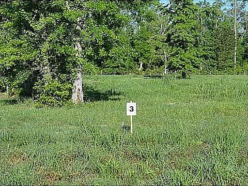 2nd image of LOT 3 Sierra Ridge Estates Dr