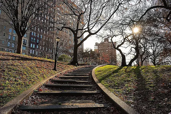 Rented by Vector New York, LLC | media 5