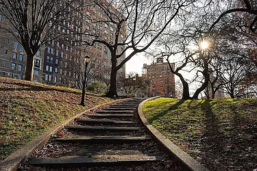 Rented by Vector New York, LLC