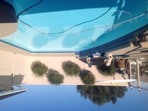 POOL & Spa