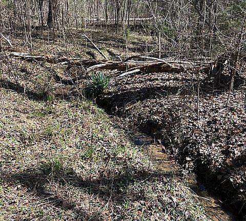 4th image of 3720 Knob Creek Trl