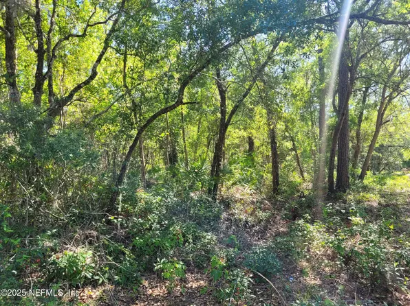 203 SOUTHERN Avenue, Crescent City, FL 32112