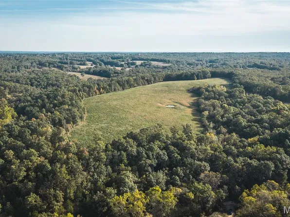 0 Long Spring Rd #3, Steelville, MO 65565