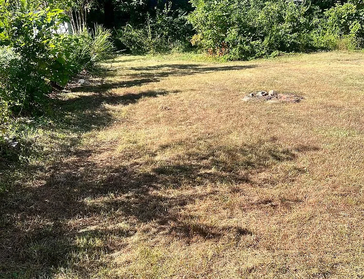 229 Manassas Dr — Photo 17