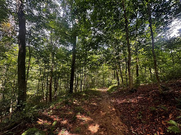 3rd image of 770 Remely Rd Tract 5