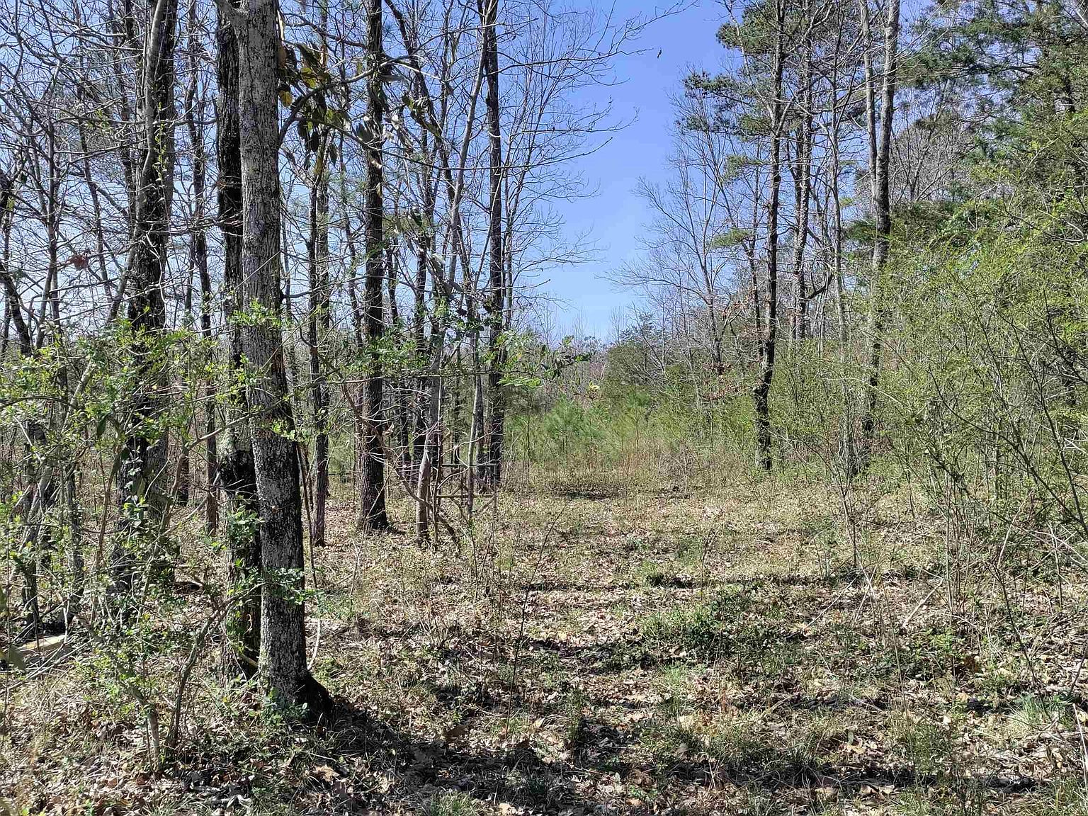 Cottonwood Ln, Falkville, AL 35622 MLS 21855333 Zillow