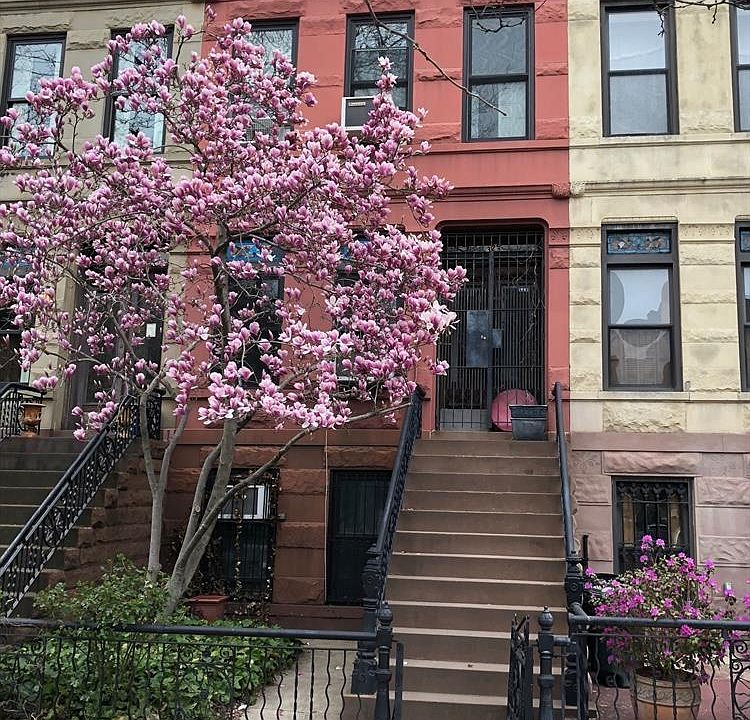 1st image of 329 Park Pl