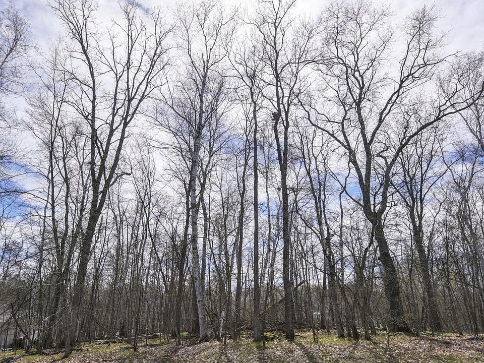 2nd image of Tbd Weavers Point Rd