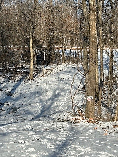 1st image of 354 Pace Ln