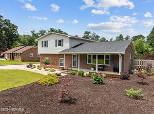 203 Ronald Ave, Castle Hayne, NC 28429