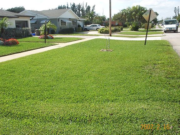 Front swale looking west