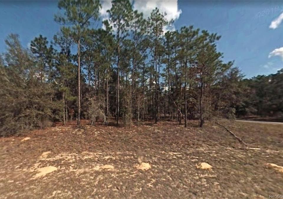 2nd image of 408 E Panama Dr