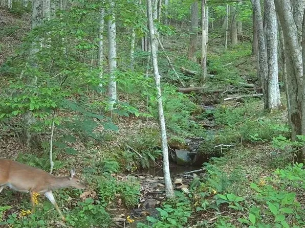 TBD Lot 8 Arborway Drive, Todd, NC 28684