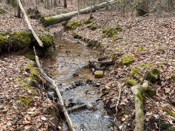 0 County Road 372 Lot 7 8 9, Iuka, MS 38852