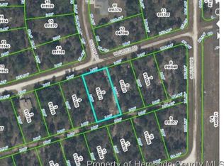 Cagarro Rd, Weeki Wachee, FL 34614