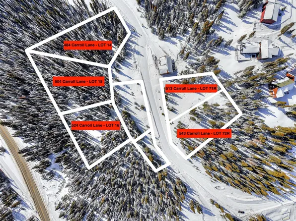 504 Carroll Lane, Breckenridge, CO 80424