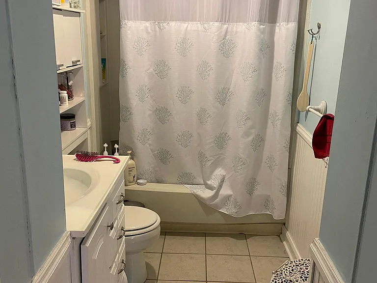 Bathroom shower w/ full tub