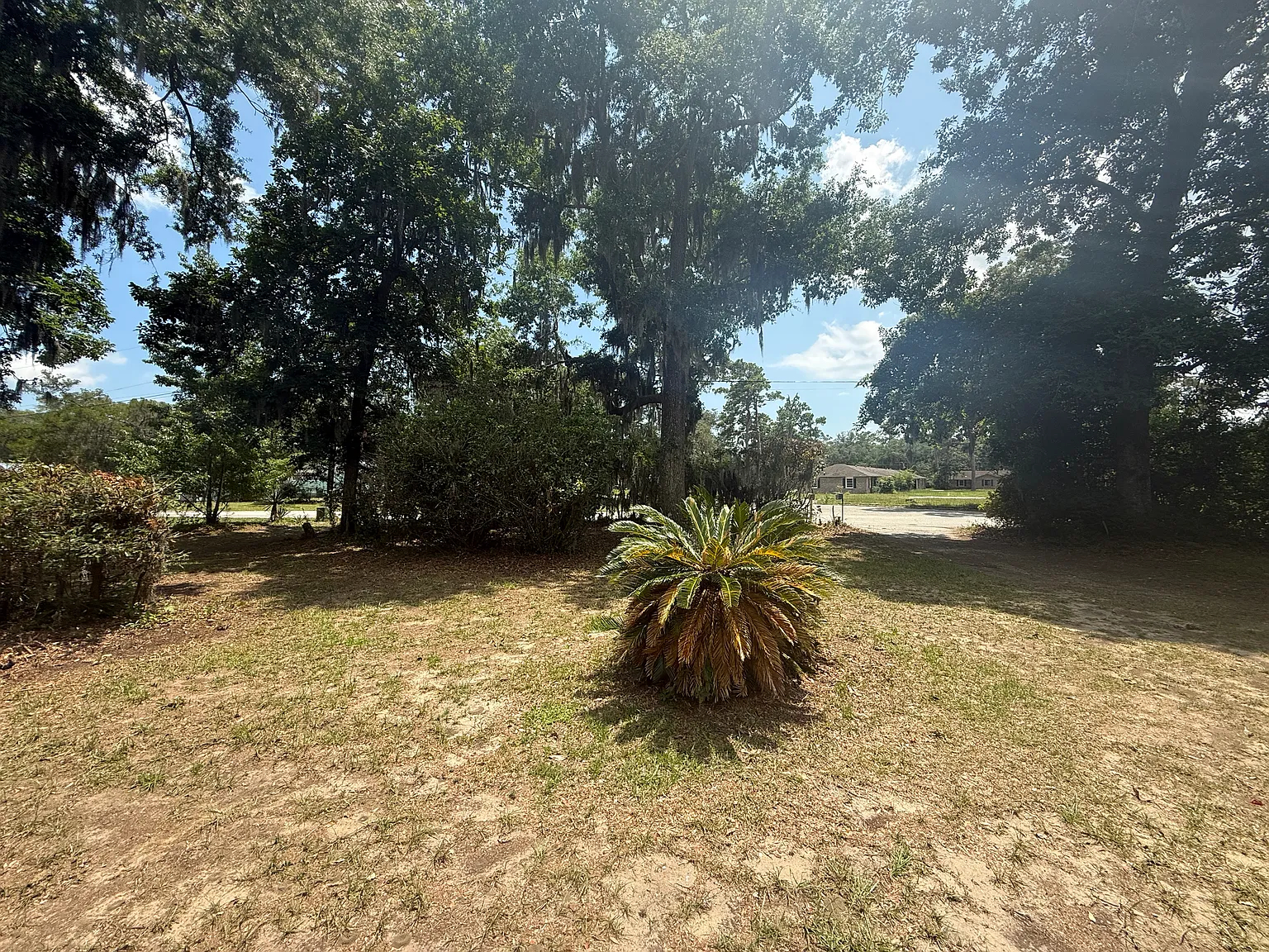 3 bed, 1600 sqft, $2,500 — Photo 2