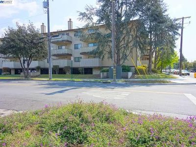 325 Valle Vista Ave #204, Hayward, CA, 94544