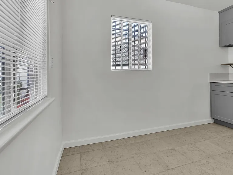 447 E 101st St #1 — Photo 6