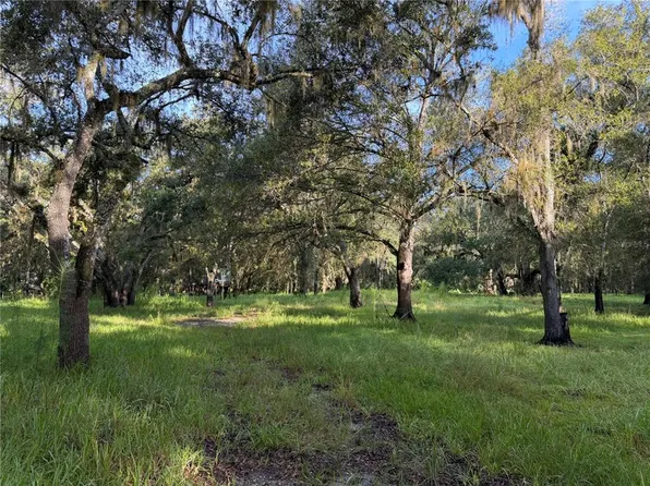 1284 NE RIVER MILL DRIVE LOT 10, ARCADIA, FL 34266