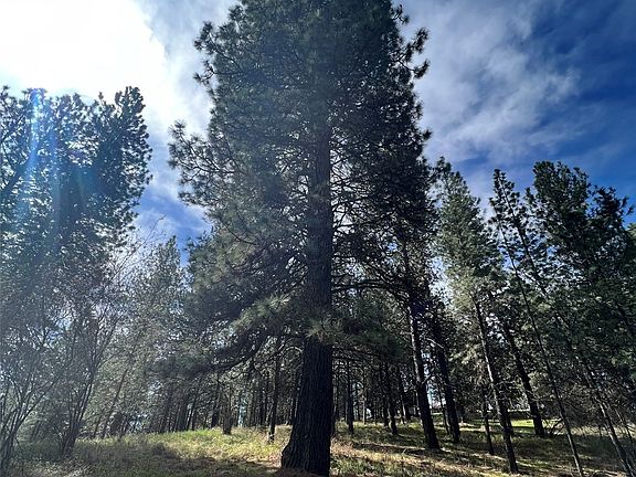 4th image of 19000 xxx Pheasant Drive