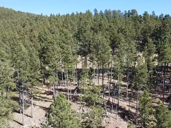 1050 Bishop Mountain Dr, Hill City, SD 57745