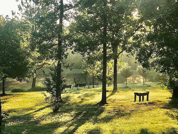 View from front porch