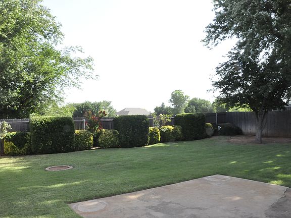 Back yard with tree ring