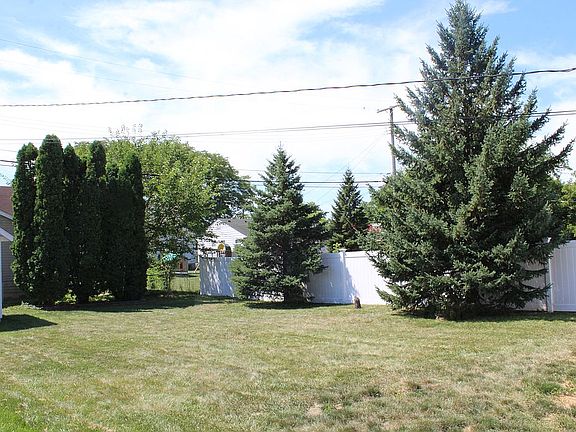 Backyard 2